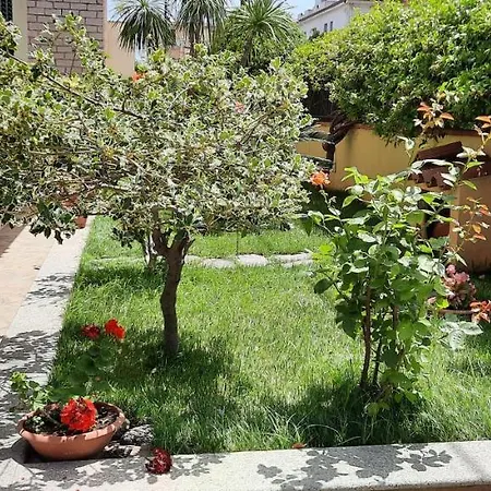Apartament Casa Chisu *